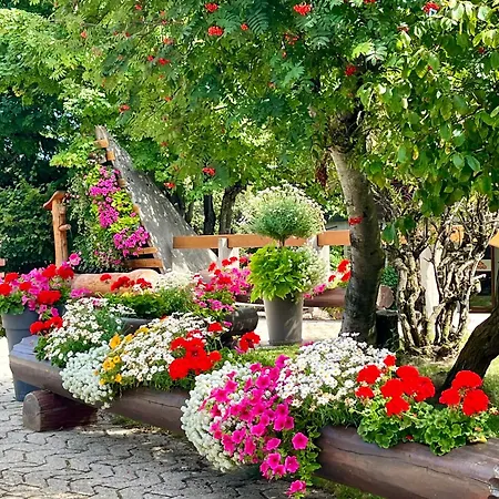 Chaleureux, Confortable, Avec Vue Sur Les Alpes 2- 3 Pers Lejlighed Anzère